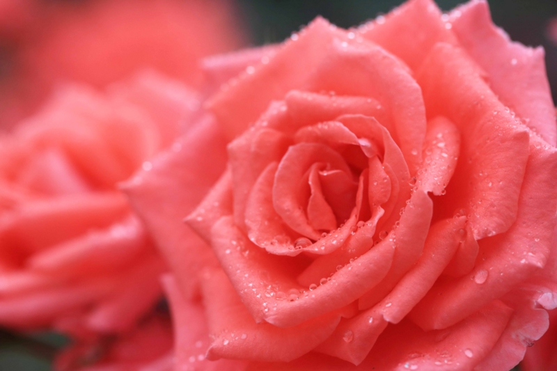f:id:hiroshisj:20130601211416j:image