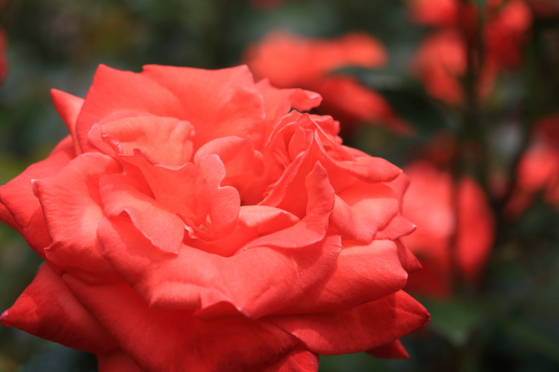 f:id:hiroshisj:20130609202930j:image
