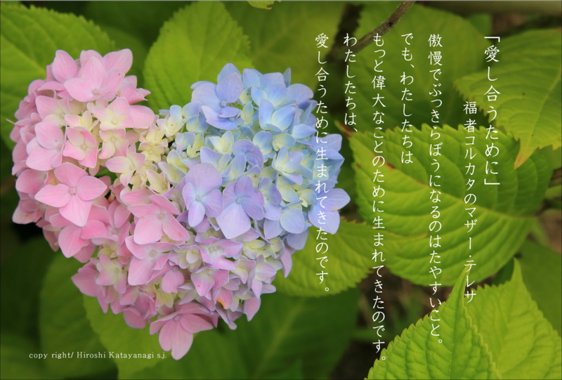 f:id:hiroshisj:20130613081846j:image
