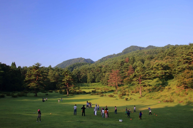 f:id:hiroshisj:20130818101619j:image