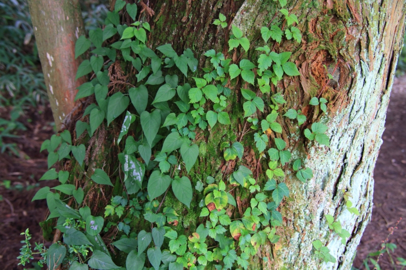 f:id:hiroshisj:20130914171702j:image
