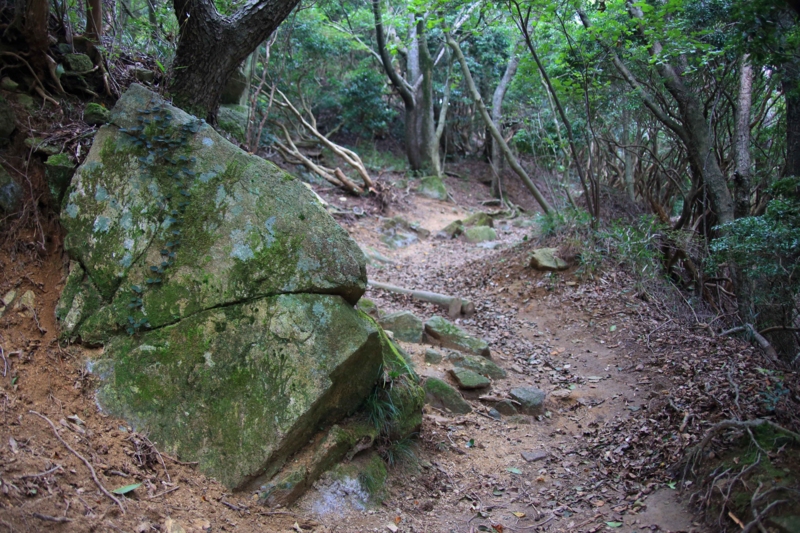 f:id:hiroshisj:20130914171756j:image