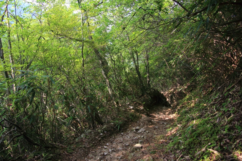 f:id:hiroshisj:20130914172547j:image