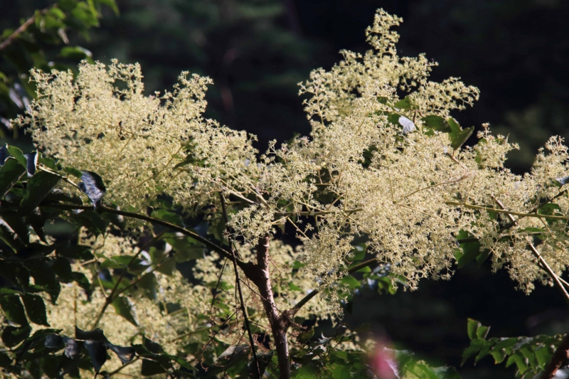f:id:hiroshisj:20130914175650j:image