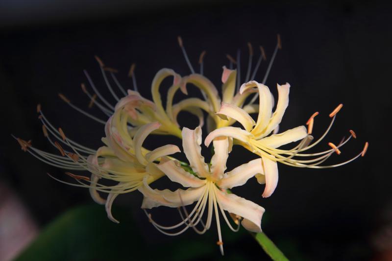 f:id:hiroshisj:20130921171602j:image