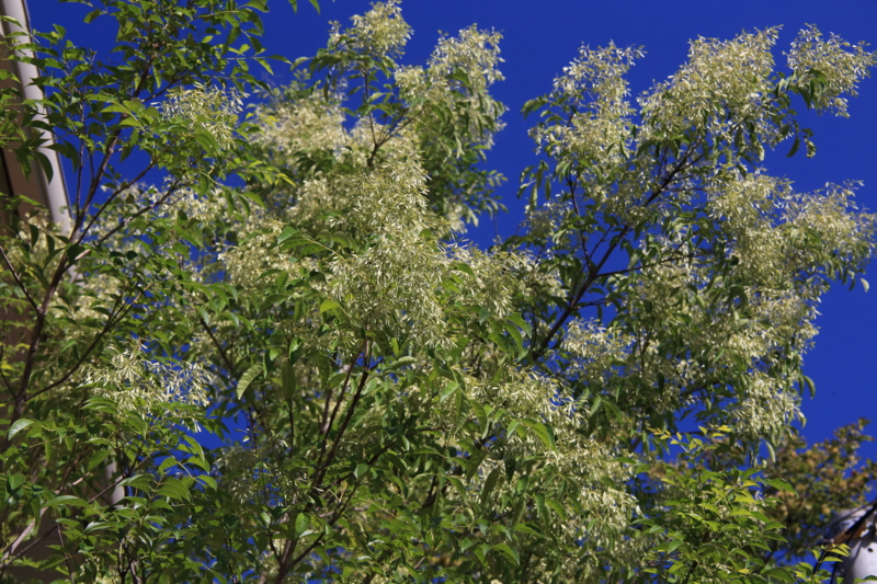 f:id:hiroshisj:20130921172039j:image