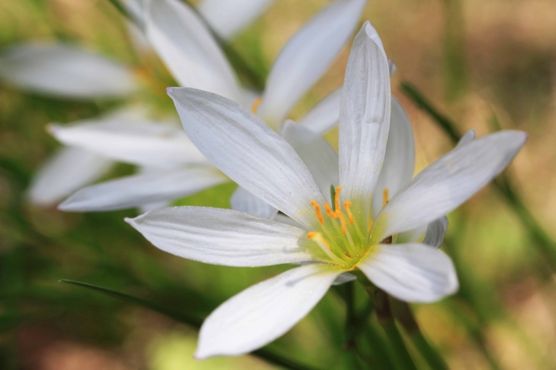 f:id:hiroshisj:20130921231759j:image