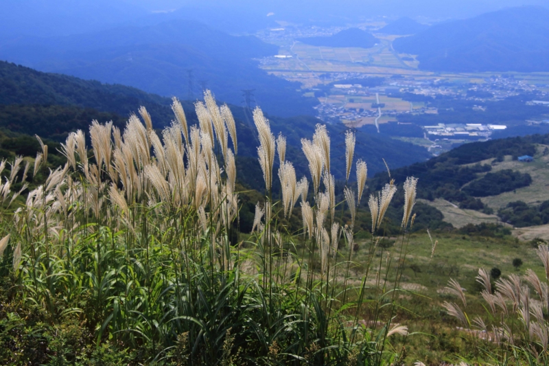 f:id:hiroshisj:20130928183912j:image f:id:hiroshisj:20130928183912j:image