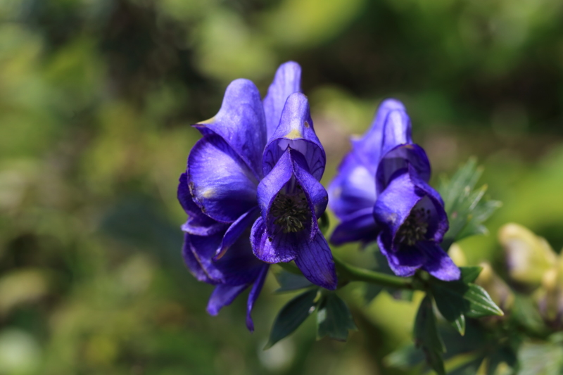 f:id:hiroshisj:20130928183953j:image f:id:hiroshisj:20130928183953j:image