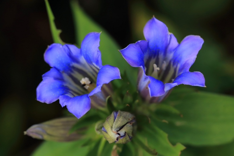 f:id:hiroshisj:20130928190901j:image f:id:hiroshisj:20130928190901j:image