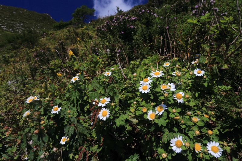 f:id:hiroshisj:20130928190927j:image f:id:hiroshisj:20130928190927j:image