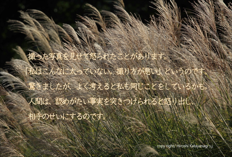 f:id:hiroshisj:20131030220543j:image