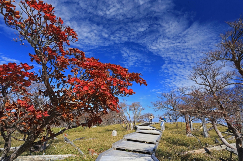 f:id:hiroshisj:20131102173200j:image