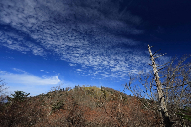f:id:hiroshisj:20131102173221j:image
