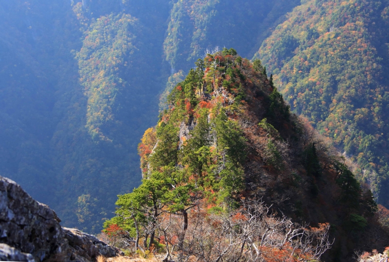 f:id:hiroshisj:20131102174020j:image