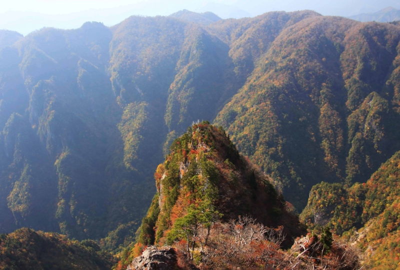 f:id:hiroshisj:20131102174045j:image