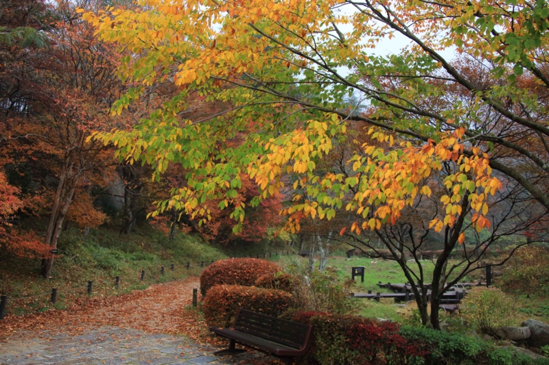 f:id:hiroshisj:20131109205117j:image