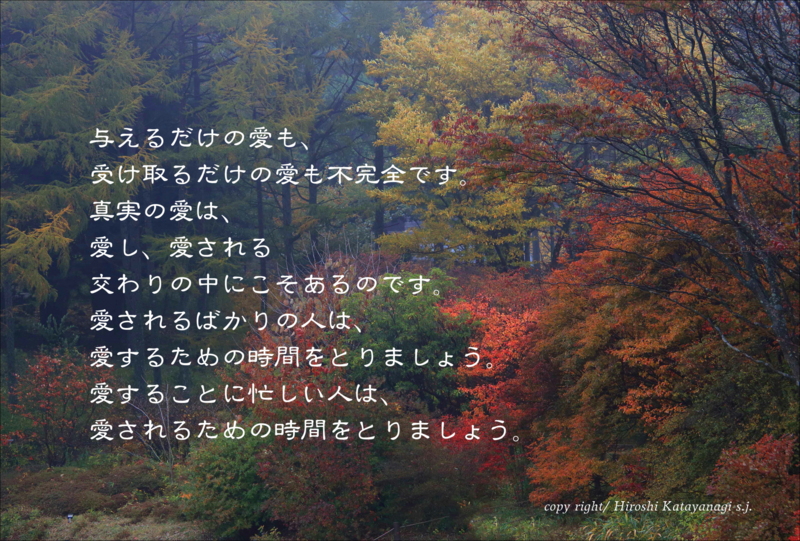f:id:hiroshisj:20131113220939j:image f:id:hiroshisj:20131113220939j:image