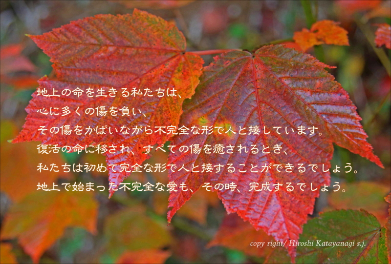 f:id:hiroshisj:20131116204722j:image