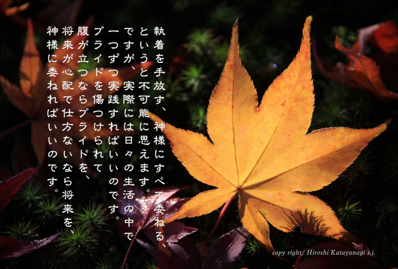 f:id:hiroshisj:20131122181126j:image
