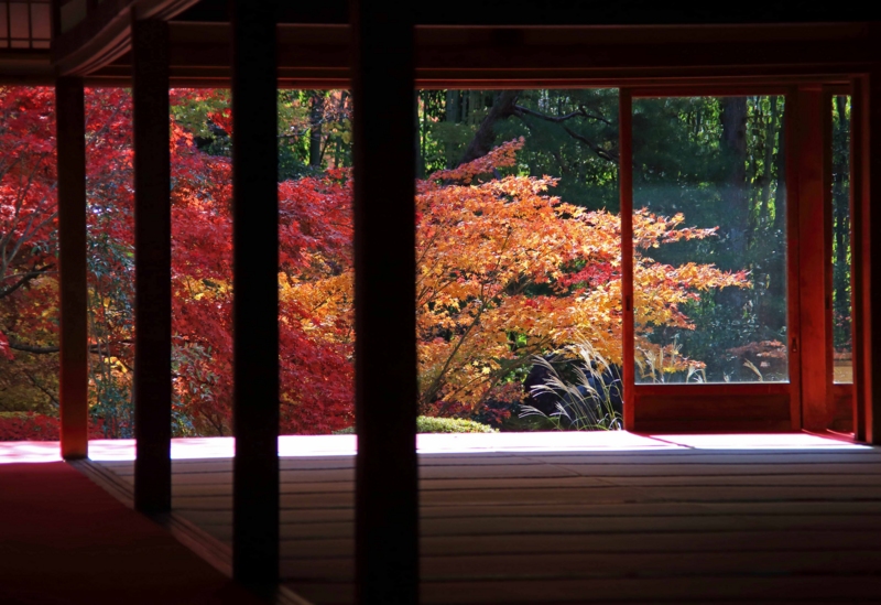 f:id:hiroshisj:20131126172531j:image