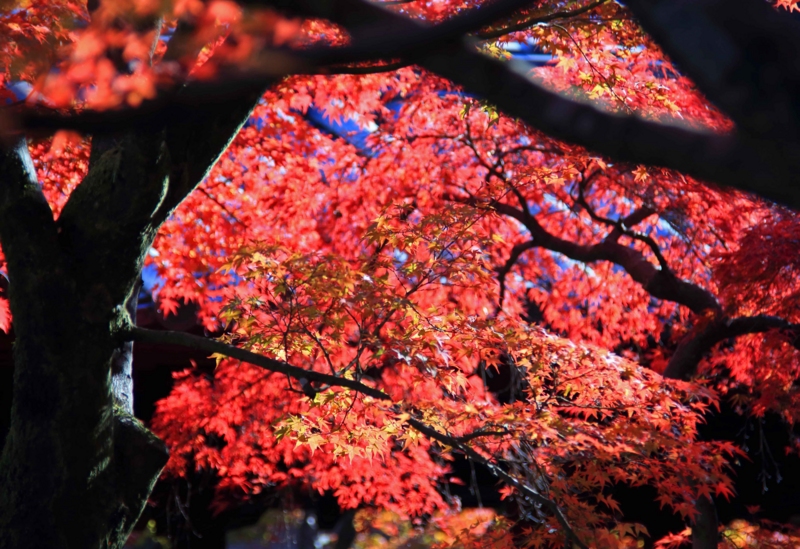 f:id:hiroshisj:20131126172655j:image