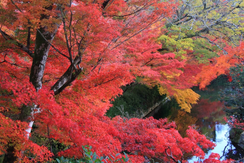 f:id:hiroshisj:20131126173416j:image