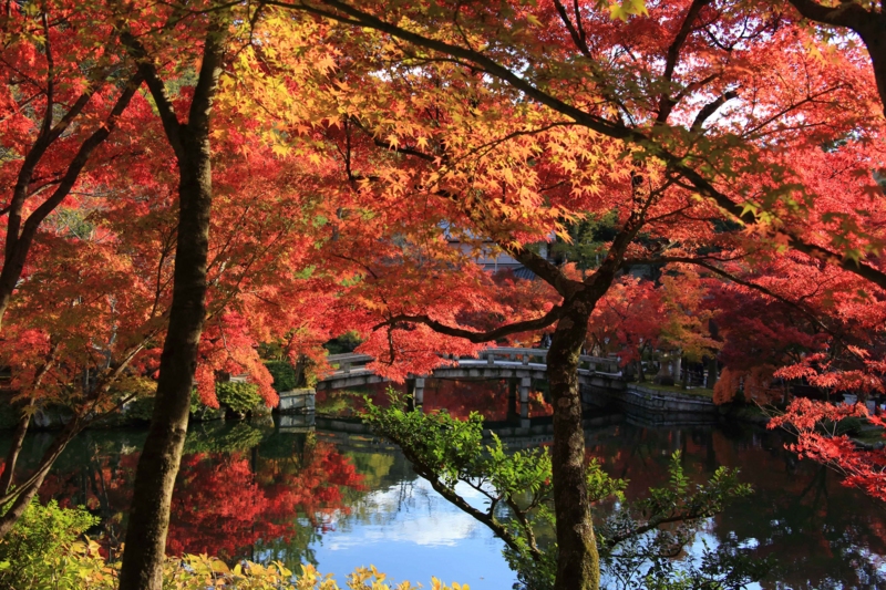 f:id:hiroshisj:20131126173515j:image