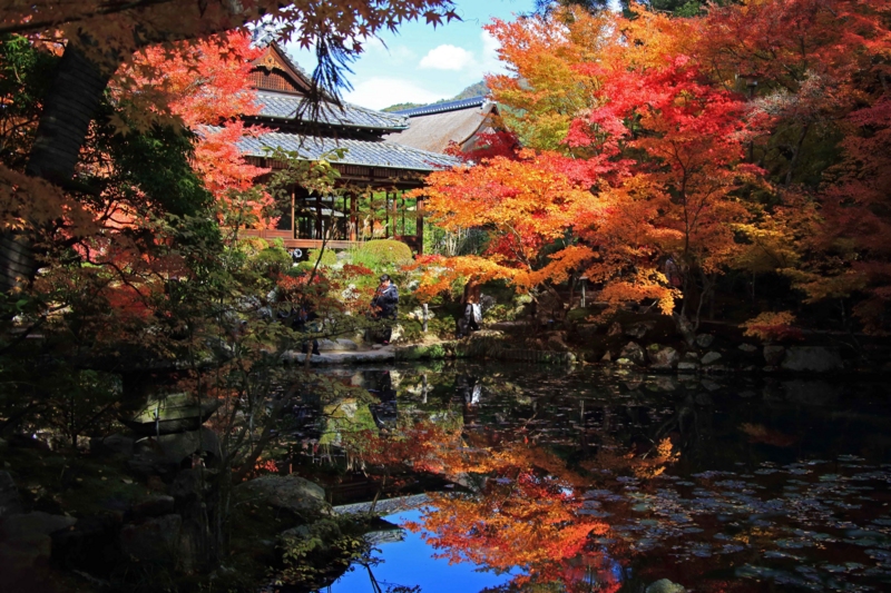 f:id:hiroshisj:20131126173613j:image