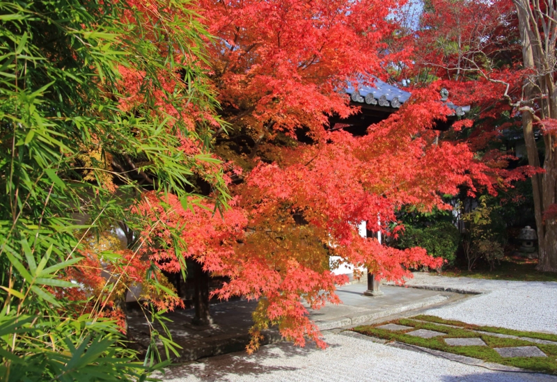 f:id:hiroshisj:20131126173640j:image