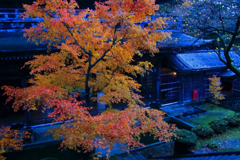 f:id:hiroshisj:20131130131727j:image