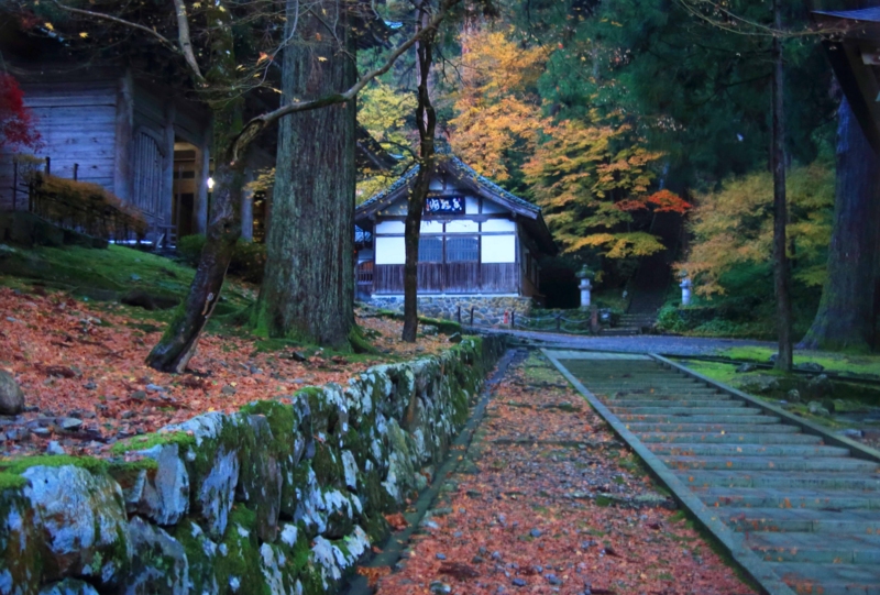 f:id:hiroshisj:20131130131749j:image
