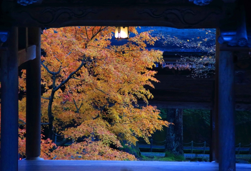 f:id:hiroshisj:20131130131807j:image