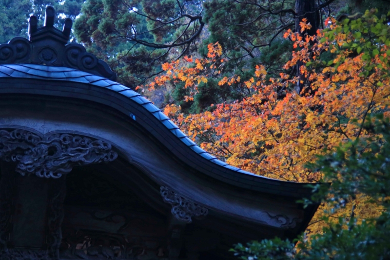 f:id:hiroshisj:20131130131829j:image