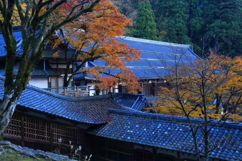 f:id:hiroshisj:20131130131930j:image