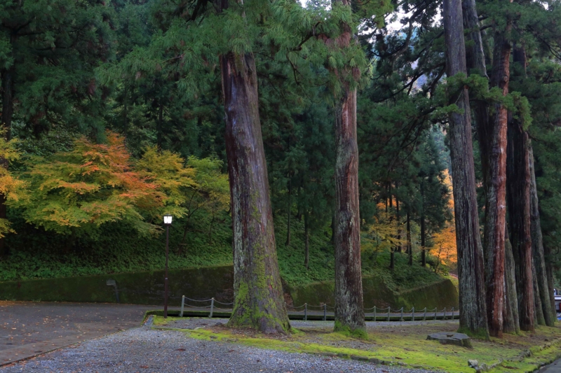 f:id:hiroshisj:20131130131951j:image