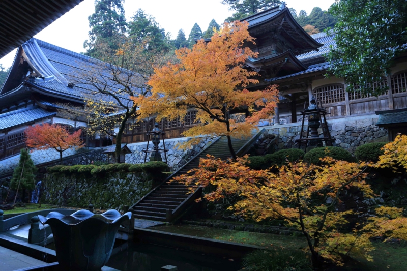 f:id:hiroshisj:20131130132012j:image