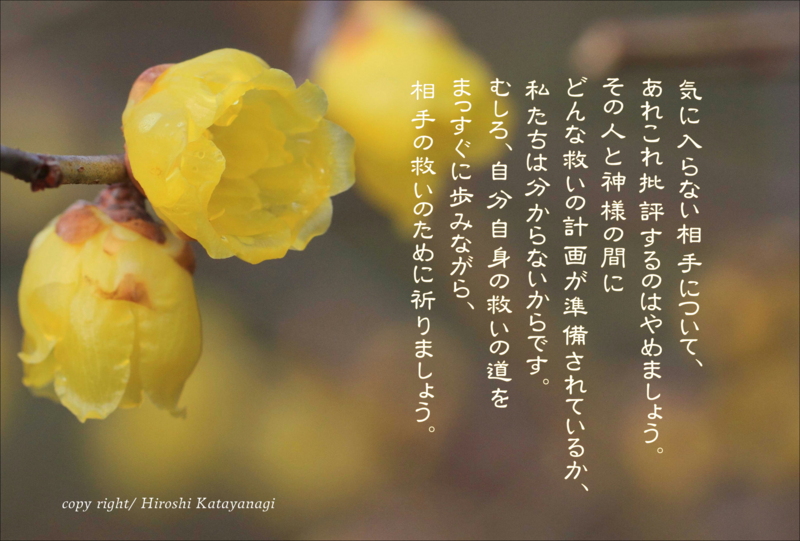 祈りの小箱 96 自分自身の救いの道を 片柳神父のブログ 道の途中で