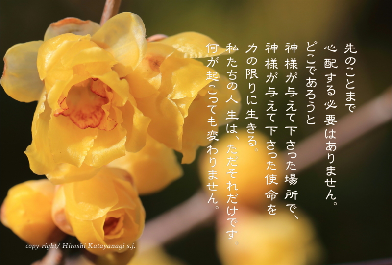 f:id:hiroshisj:20140127131100j:image