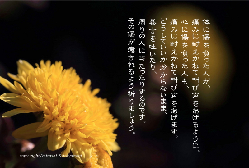 f:id:hiroshisj:20140128163117j:image