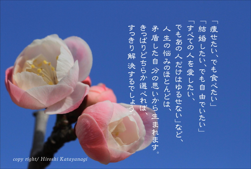 f:id:hiroshisj:20140228231211j:image
