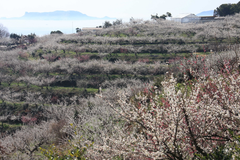 f:id:hiroshisj:20140301204600j:image