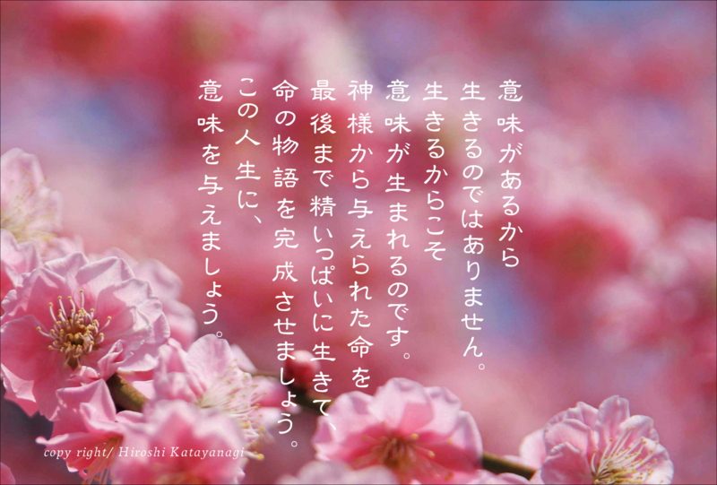 f:id:hiroshisj:20140305093142j:image