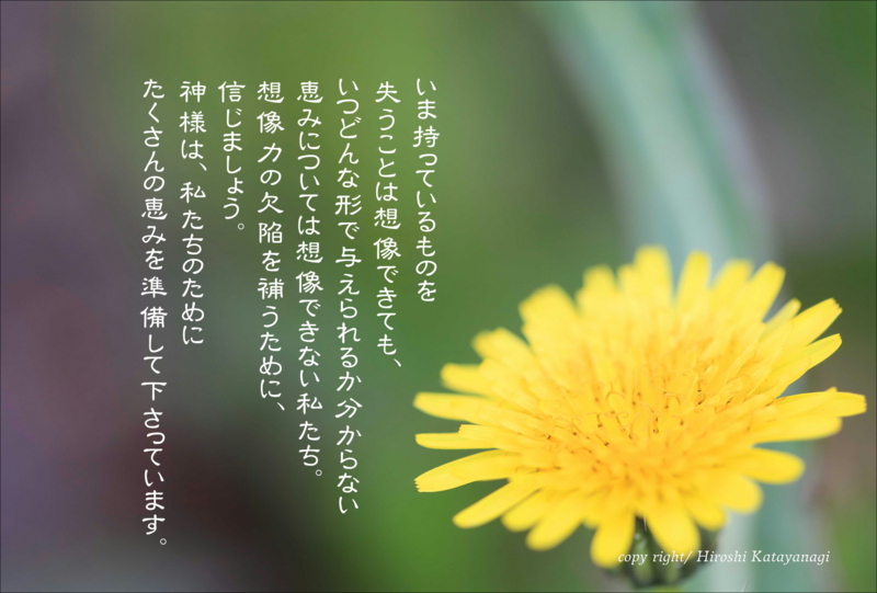 f:id:hiroshisj:20140305104332j:image