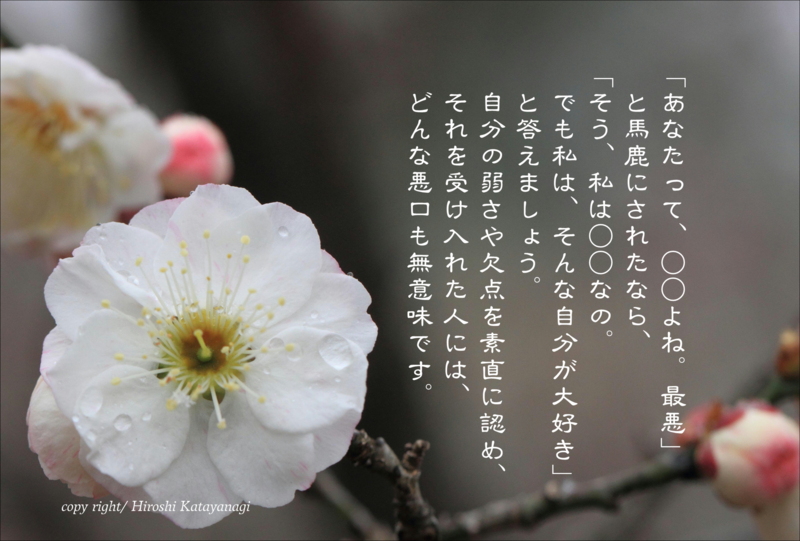 f:id:hiroshisj:20140314112927j:image