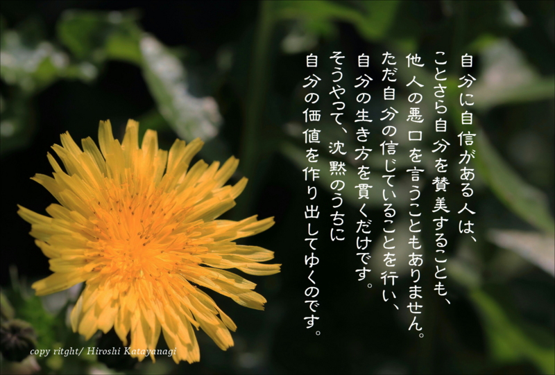 f:id:hiroshisj:20140320135013j:image