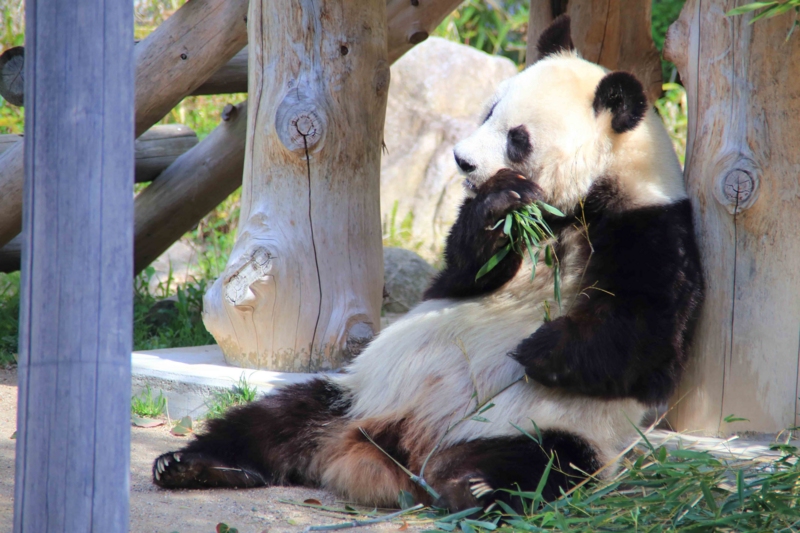 f:id:hiroshisj:20140405175321j:image f:id:hiroshisj:20140405175321j:image