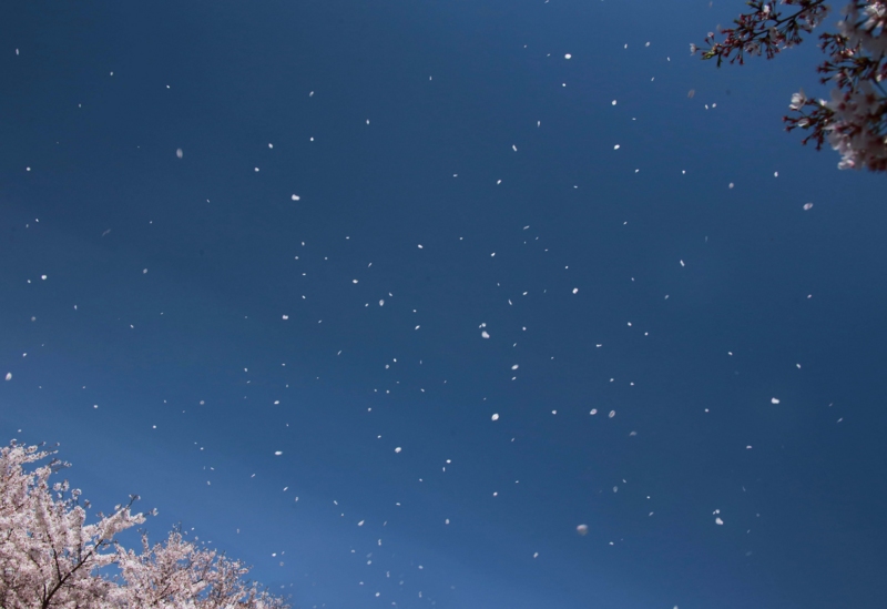 f:id:hiroshisj:20140406152531j:image