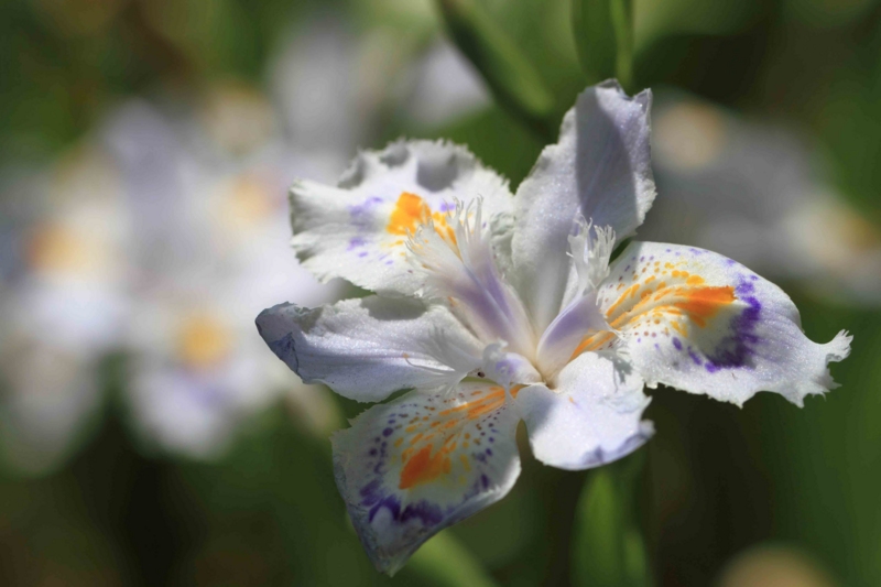 f:id:hiroshisj:20140411175526j:image f:id:hiroshisj:20140411175526j:image