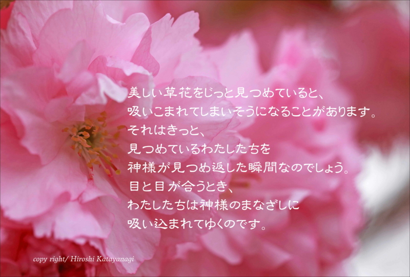f:id:hiroshisj:20140412161323j:image f:id:hiroshisj:20140412161323j:image